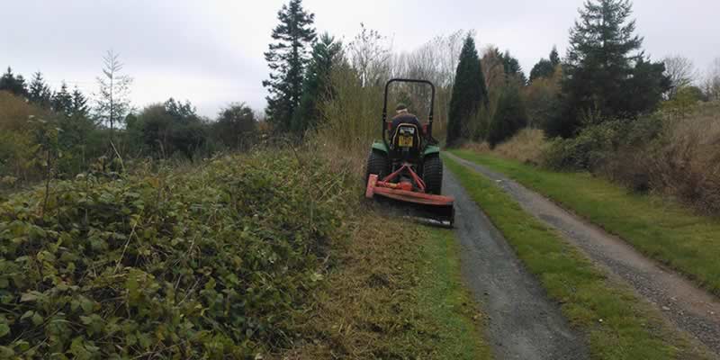 Grass Bank Clearing